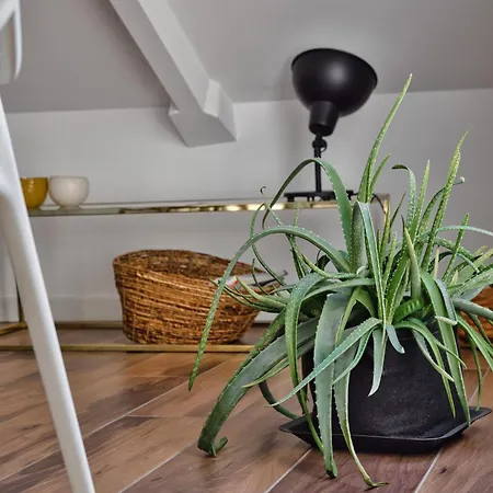 Just Urban - Exclusive Duomo View Penthouse - 5 Min To M4 Dateo